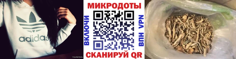 нарко площадка наркотические препараты Северо-Курильск Псилоцибиновые грибы ЛСД купить